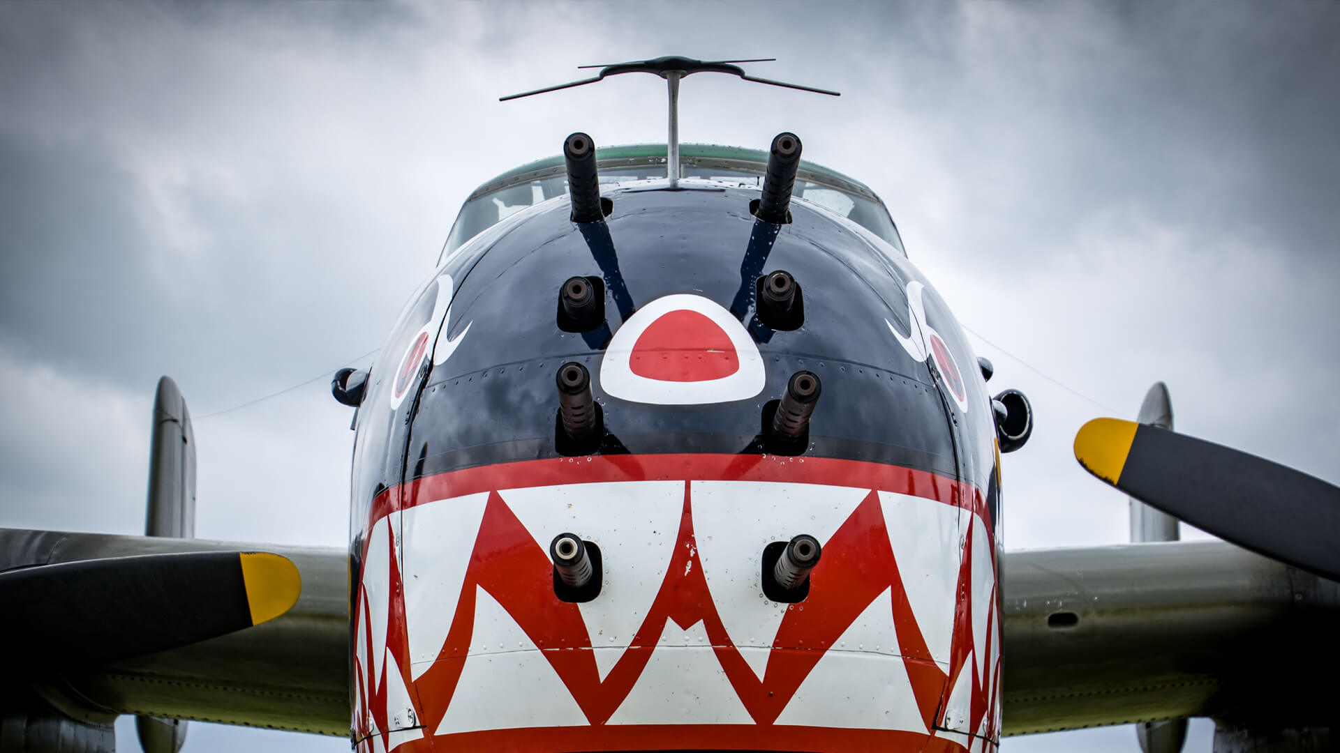 North American B-25 Mitchell baring its nose art teeth for the camera.