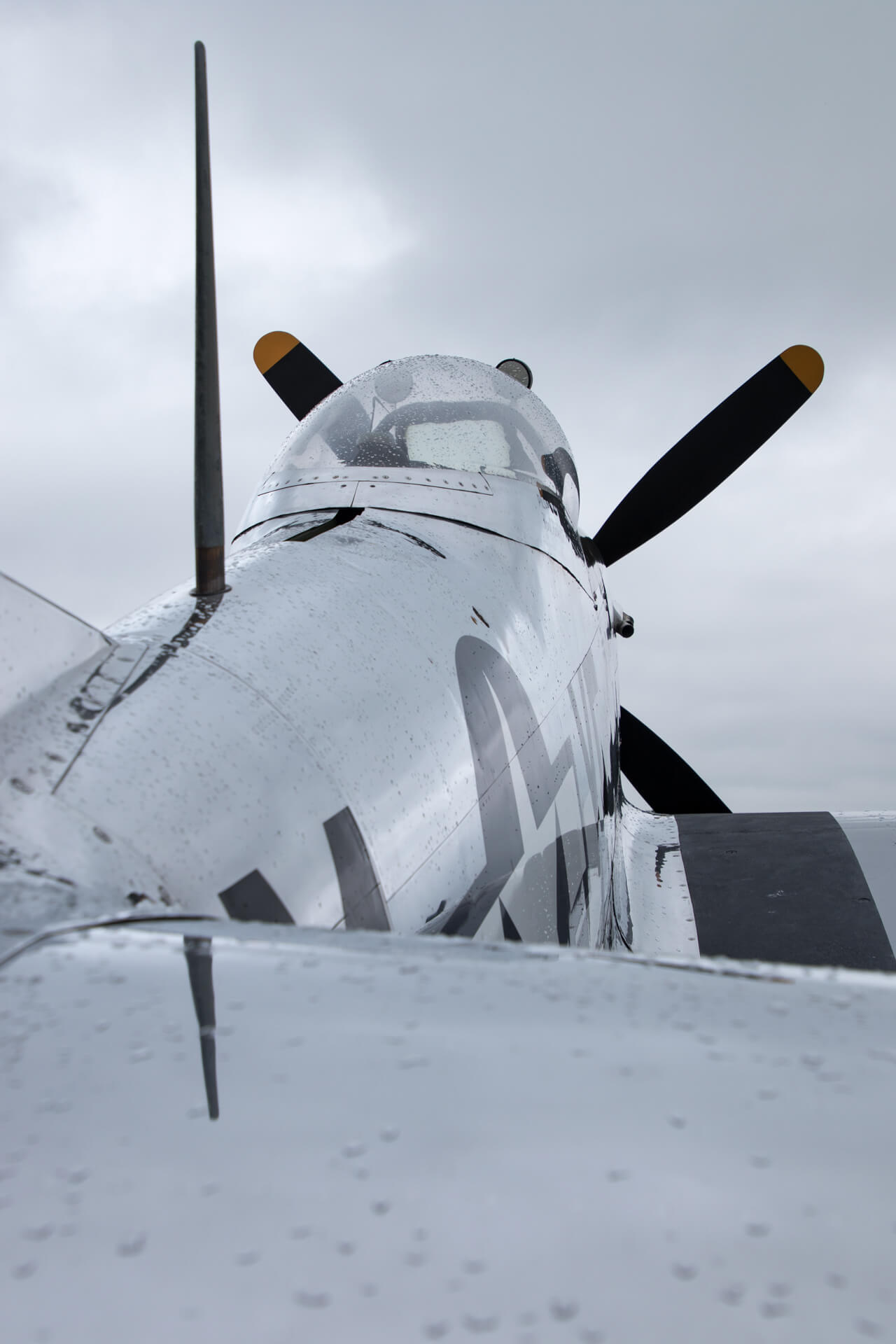 Water droplets collect from a morning sprinkle onto a beautiful F4U Corsair.