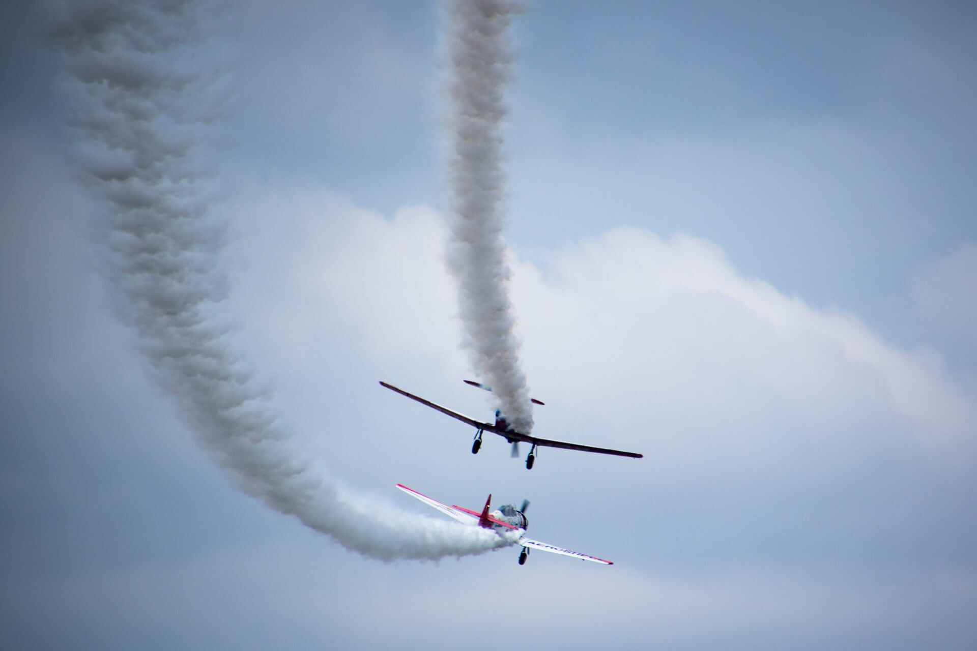 The Aeroshell Aerobatic Team playing tag in their 1938 T-6 Texans.