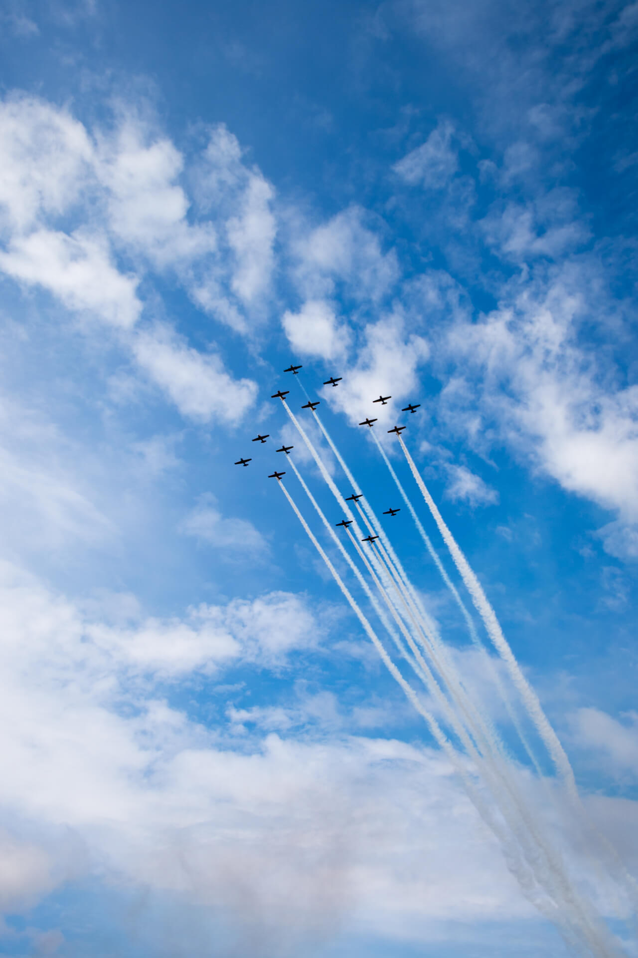World War II era American warbirds flying in formation.